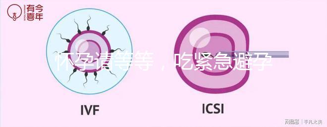 懷孕請等等，吃緊急避孕藥多久能有性生活看專家怎么說