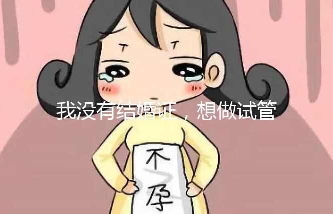 我沒有結(jié)婚證，想做試管嬰兒，可以做嗎