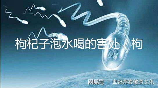 枸杞子泡水喝的害處（枸杞泡幾個(gè)小時(shí)后不能喝）