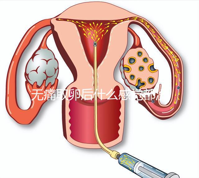 無(wú)痛取卵后什么感覺(jué)都沒(méi)有異常是謠言!只會(huì)出現(xiàn)一部分...