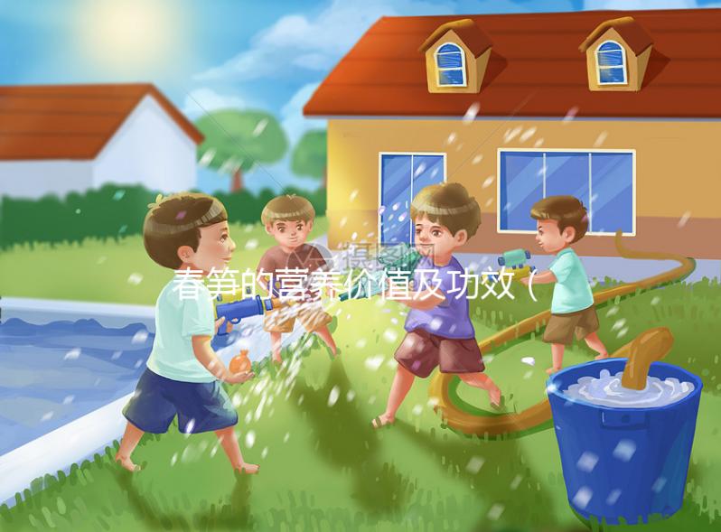 春筍的營(yíng)養(yǎng)價(jià)值及功效（春筍的營(yíng)養(yǎng)價(jià)值及功效與作用）