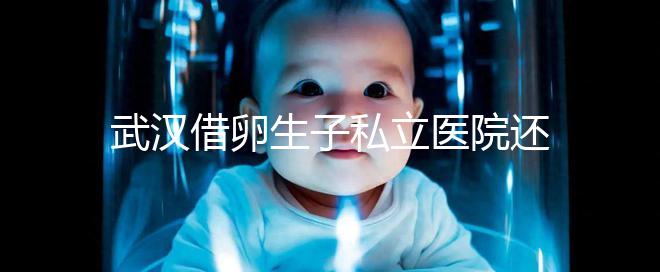 武漢借卵生子私立醫院還得看這幾家，協和、同濟醫院上榜