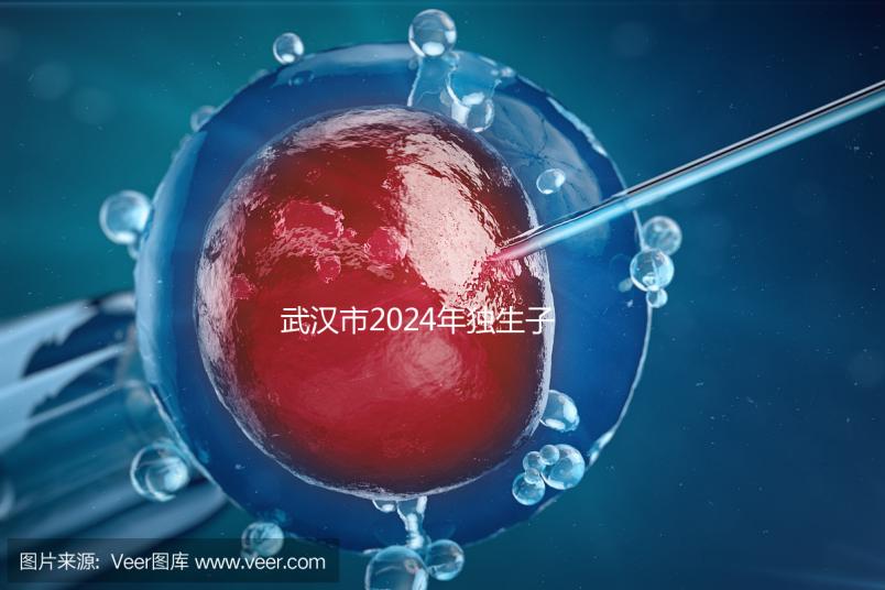 武漢市2024年獨生子女補貼政策已經實施，領取流程更加規范