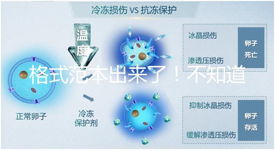 格式范本出來(lái)了!不知道出生證明遺失申請(qǐng)書(shū)怎么寫(xiě)看這兒