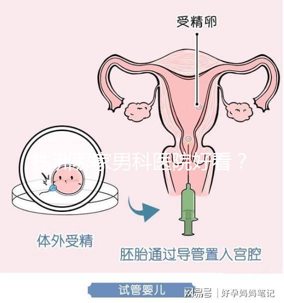株洲哪家男科醫院好看？這位醫生的專業成本還很低