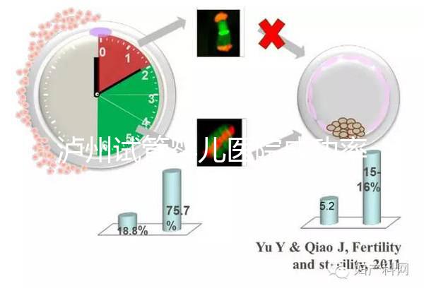 瀘州試管嬰兒醫院成功率排名，西南醫科大學附屬醫院上榜