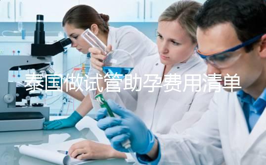 泰國做試管助孕費(fèi)用清單,涵蓋所有項(xiàng)目分析,幫助你懷孕!