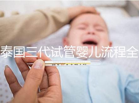 泰國三代試管嬰兒流程全解析：2025年最新步驟詳解、時間規劃與科學備孕指南