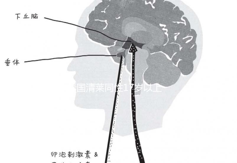 泰國清萊同性17歲以上便能結(jié)婚,在國內(nèi)承不承認(rèn)進來看