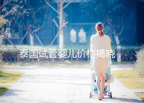 泰國試管嬰兒價格揭曉,來看看需要準(zhǔn)備多少錢