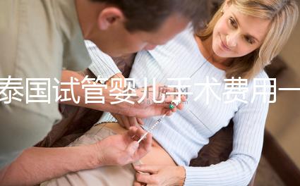 泰國試管嬰兒手術(shù)費用一覽，2025年價格行情