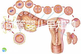 泰國試管嬰兒早知道，威它尼醫(yī)院Vejthani圖文攻略