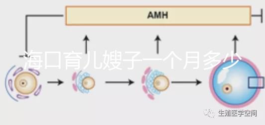 ?？谟齼荷┳右粋€月多少錢，哪個好答案總結(jié)，新手父母必須看