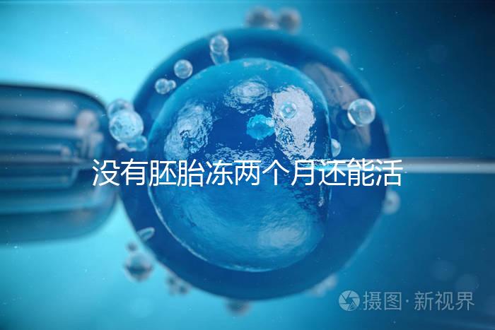 沒有胚胎凍兩個月還能活著嗎？60s會告訴你怎么樣？