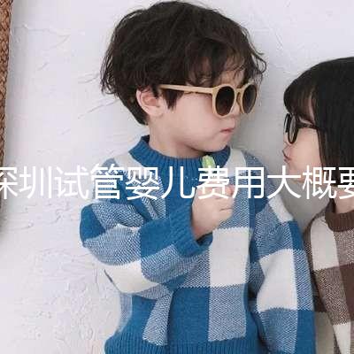 深圳試管嬰兒費用大概要多少錢:2024年費用概覽