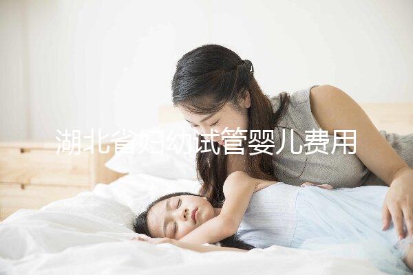 湖北省婦幼試管嬰兒費(fèi)用指南，單次助孕收費(fèi)標(biāo)準(zhǔn)參考