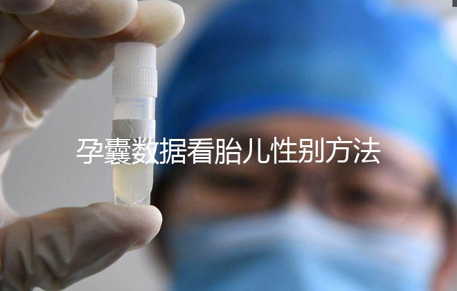 孕囊數(shù)據(jù)看胎兒性別方法，尺寸兩大一小是男孩瞎扯