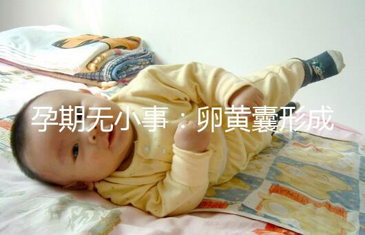 孕期無小事：卵黃囊形成到胎芽出現(xiàn)時間早了解早放心