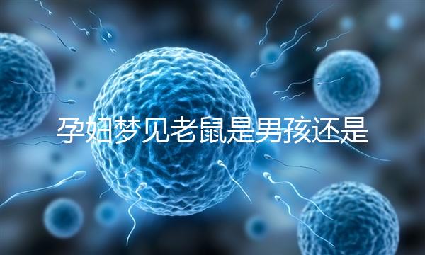 孕婦夢見老鼠是男孩還是女孩不再糾結(jié)，詳細(xì)預(yù)兆解讀看這