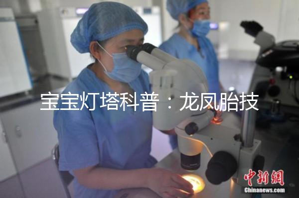 寶寶燈塔科普：龍鳳胎技術的原理和發展！