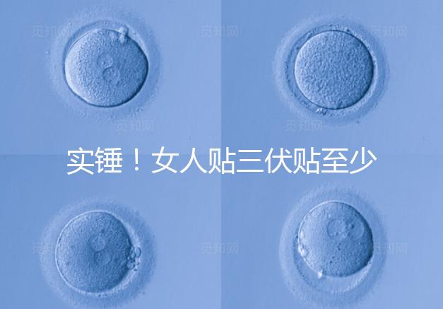 實錘！女人貼三伏貼至少有這6點好處，提高免疫力是其一