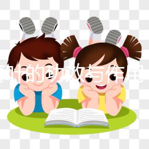 大青葉的功效與作用(大青葉對女性的好處)