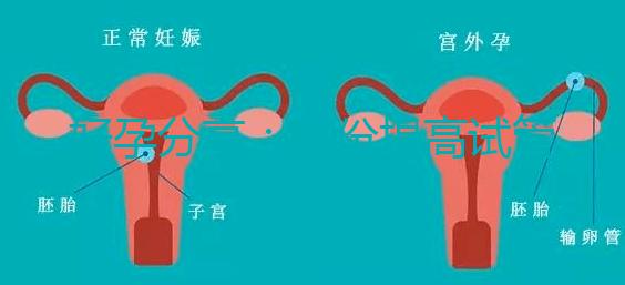 好孕分享：這份提高試管移植著床率的偏方快收藏！全是干貨