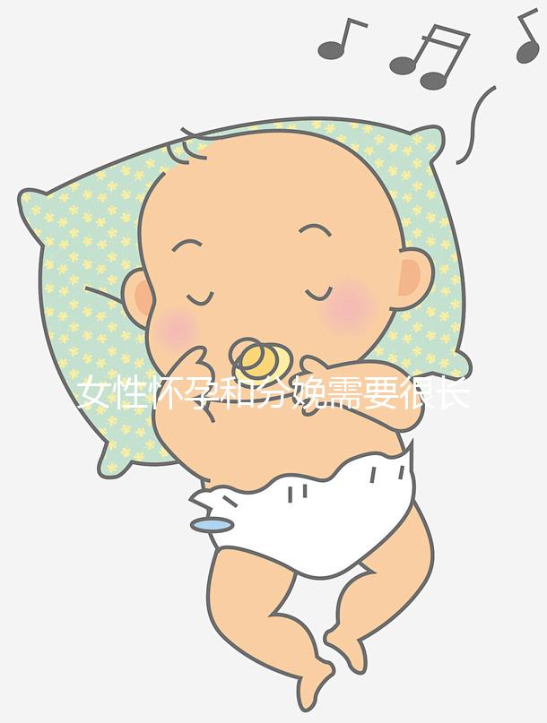 女性懷孕和分娩需要很長時間