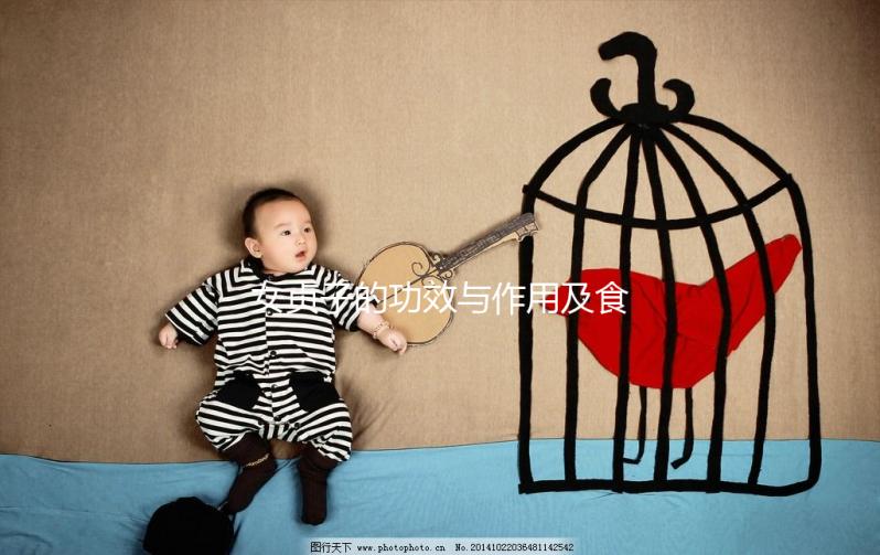 女貞子的功效與作用及食用方法（女貞子會(huì)讓雌激素增高嗎）