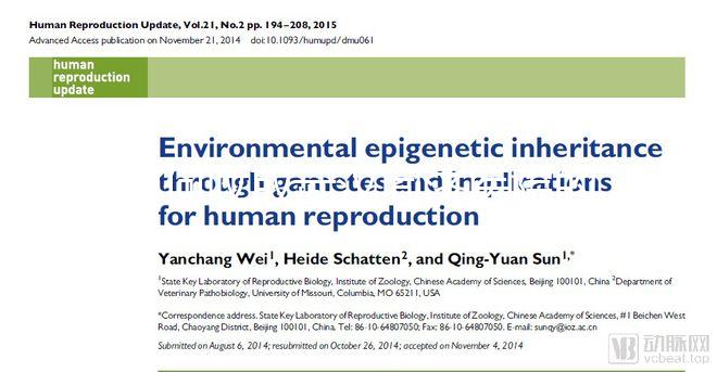 如何收取武漢同濟醫院的養囊費？查看最新試管費用明細估算？