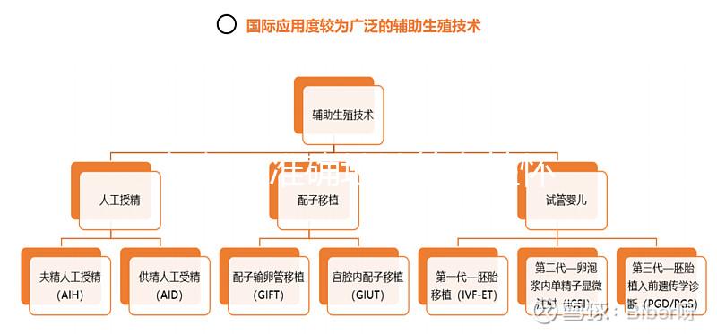 如何更準確地計算女性懷孕時間?