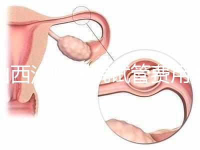 山西汾陽醫院試管費用清單公布，2024年生殖科助孕成功率公布