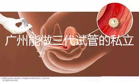 廣州能做三代試管的私立醫(yī)院排名一覽表，看看你心儀的在不在其中