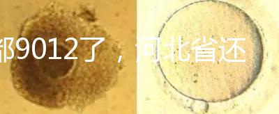 都9012了，河北省還沒(méi)三代試管嬰兒醫(yī)院，看看姐妹怎么說(shuō)