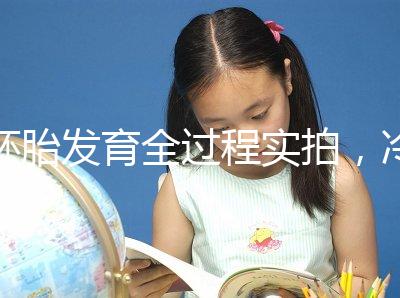 胚胎發(fā)育全過程實(shí)拍，冷凍胚胎移植后著床圖解（視頻）