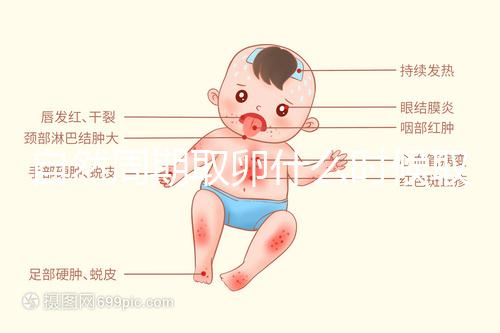 自然周期取卵什么時候??？最佳時間應控制在這個時候
