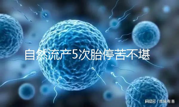 自然流產5次胎?？嗖豢把?， 試管嬰兒助孕一朝分娩喜之不盡！