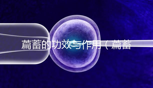 萹蓄的功效與作用（萹蓄的功效與作用與主治）