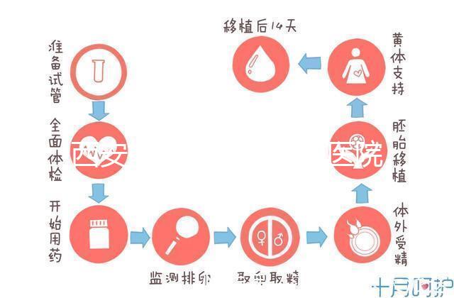 西安能做試管嬰兒的醫院哪家成功率最高？本地Top 5推薦