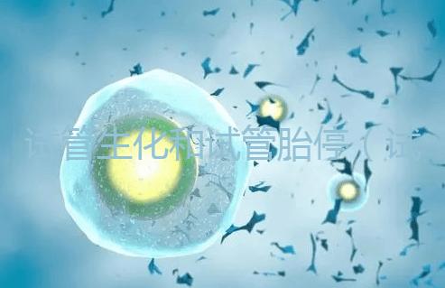 試管生化和試管胎停（試管生化和試管胎停的區(qū)別）