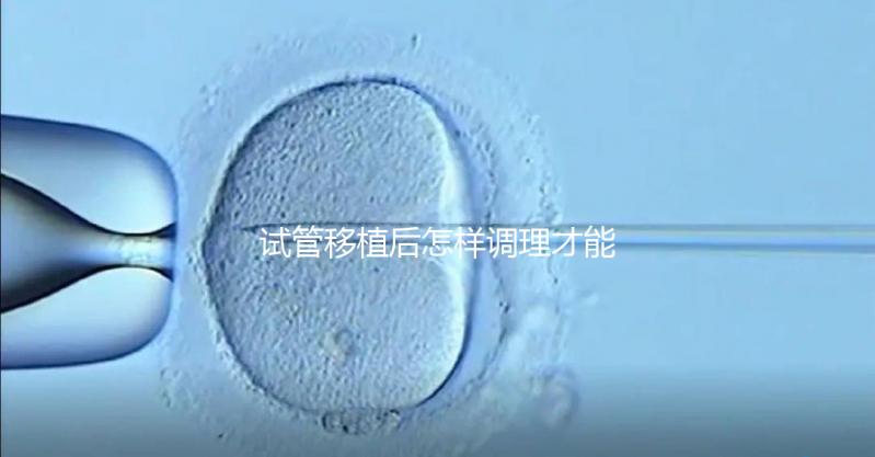 試管移植后怎樣調(diào)理才能增加胚胎著床的幾率？