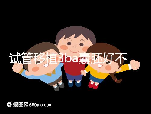 試管移植3ba囊胚好不好,3分鐘讀懂質(zhì)量好壞和成功率