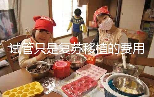 試管只是復(fù)蘇移植的費(fèi)用并不高，看這就知道大概多少錢(qián)