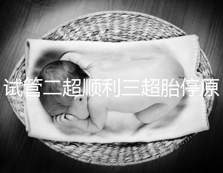 試管二超順利三超胎停原因分析，多半和保胎藥停早了有關(guān)