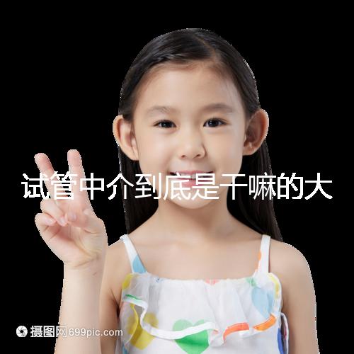 試管中介到底是干嘛的大揭秘！不合法機構真不可靠