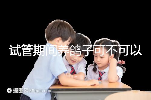 試管期間養鴿子可不可以大揭秘，影響抵抗力千萬注意