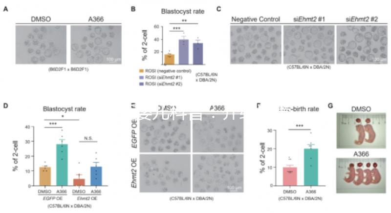 試管嬰兒科普：介紹試管嬰兒的基本概念、原理、分類、適應癥、優勢等