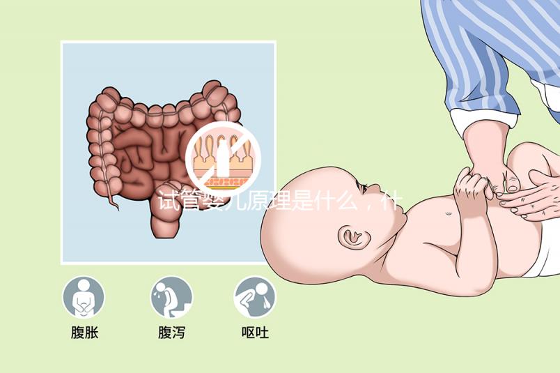 試管嬰兒原理是什么，什么是試管嬰兒？