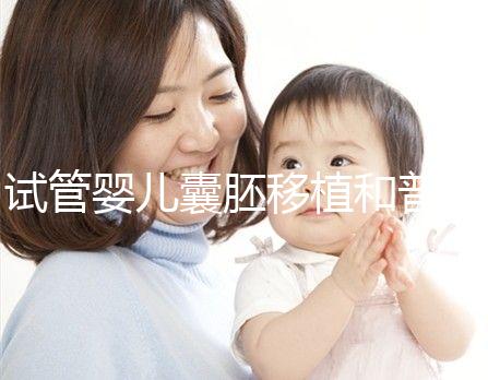 試管嬰兒囊胚移植和普通胚胎移植，有何區別？