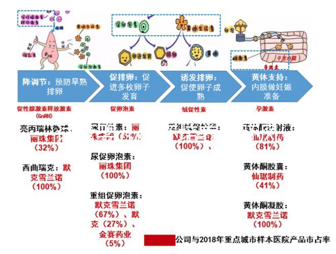 試管嬰兒優胚培養囊胚風險特別大，逃不掉這3大原因